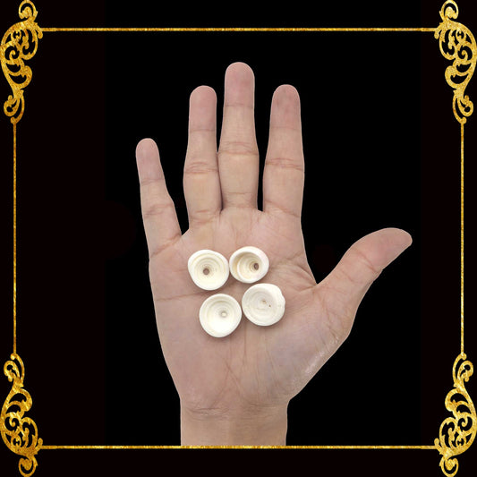 1 Kilo | Puka Shell | Medium | 1.1 - 1.4 cm | Seashells | Sea shells