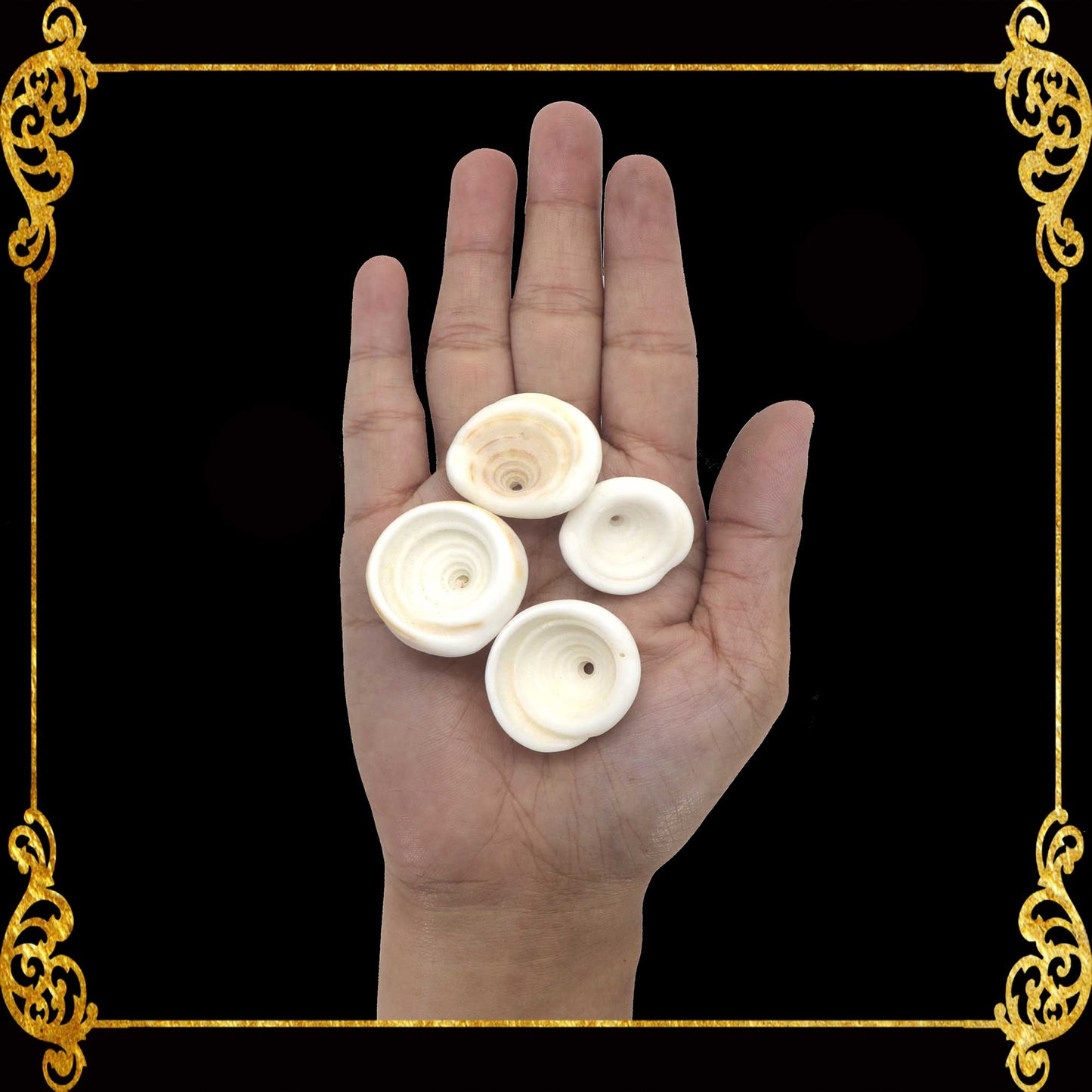 1 Kilo | Puka Shell | Large | 1.5 - 2 cm | Seashells | Sea shells