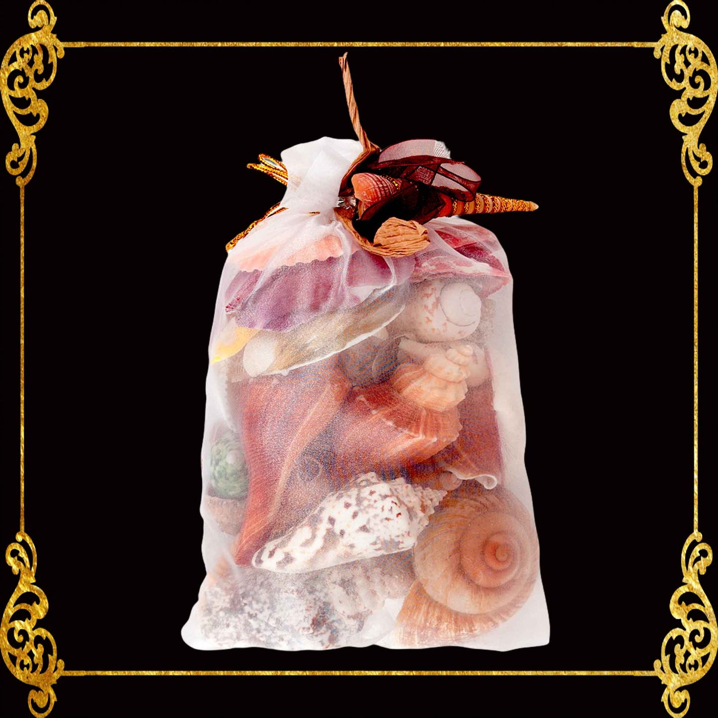 Mixed Sea Shell in Organza Bag | 250 Grams | Assorted Seashells