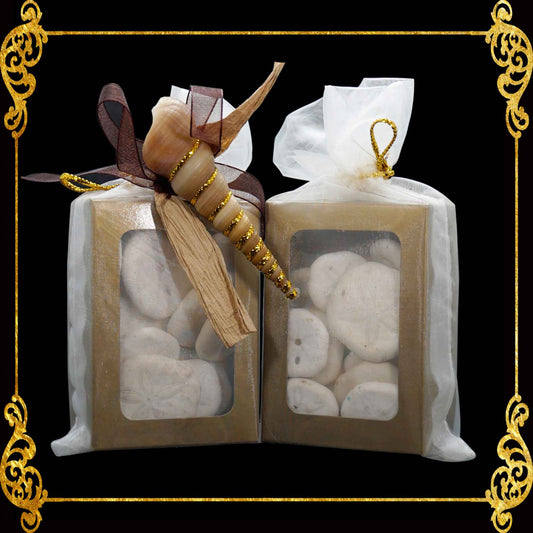 Seashell Pack | Sand Dollar | 20pcs