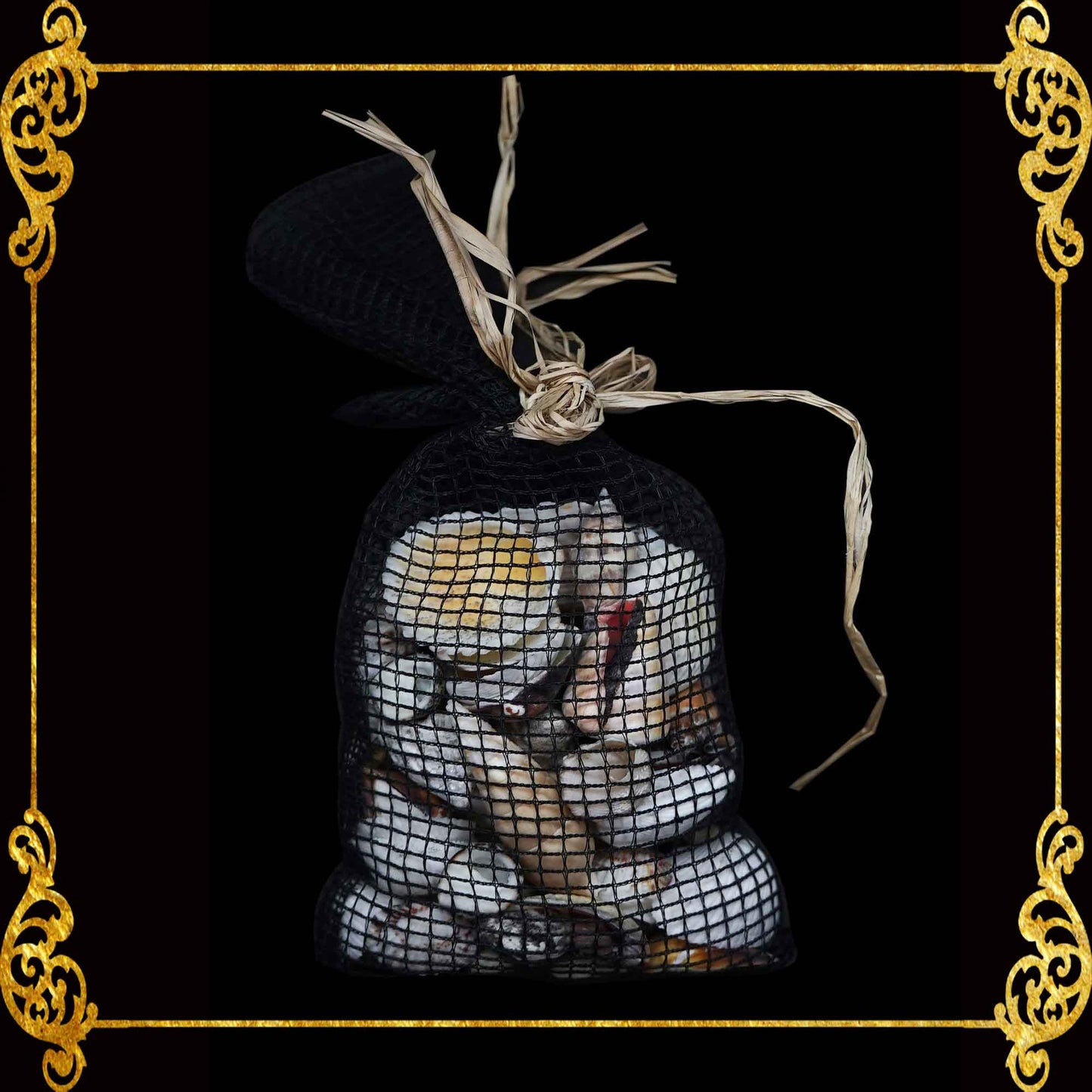 Beach Mixed White Sea Shells in Black Net | 350 Grams