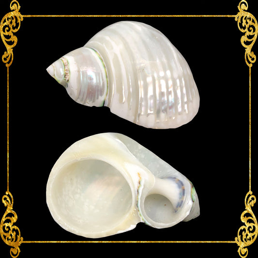 Napkin Ring - Turbo Pearlize