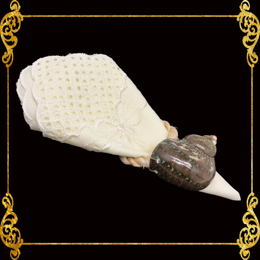 Napkin Ring - Turbo Petholatus - Natural