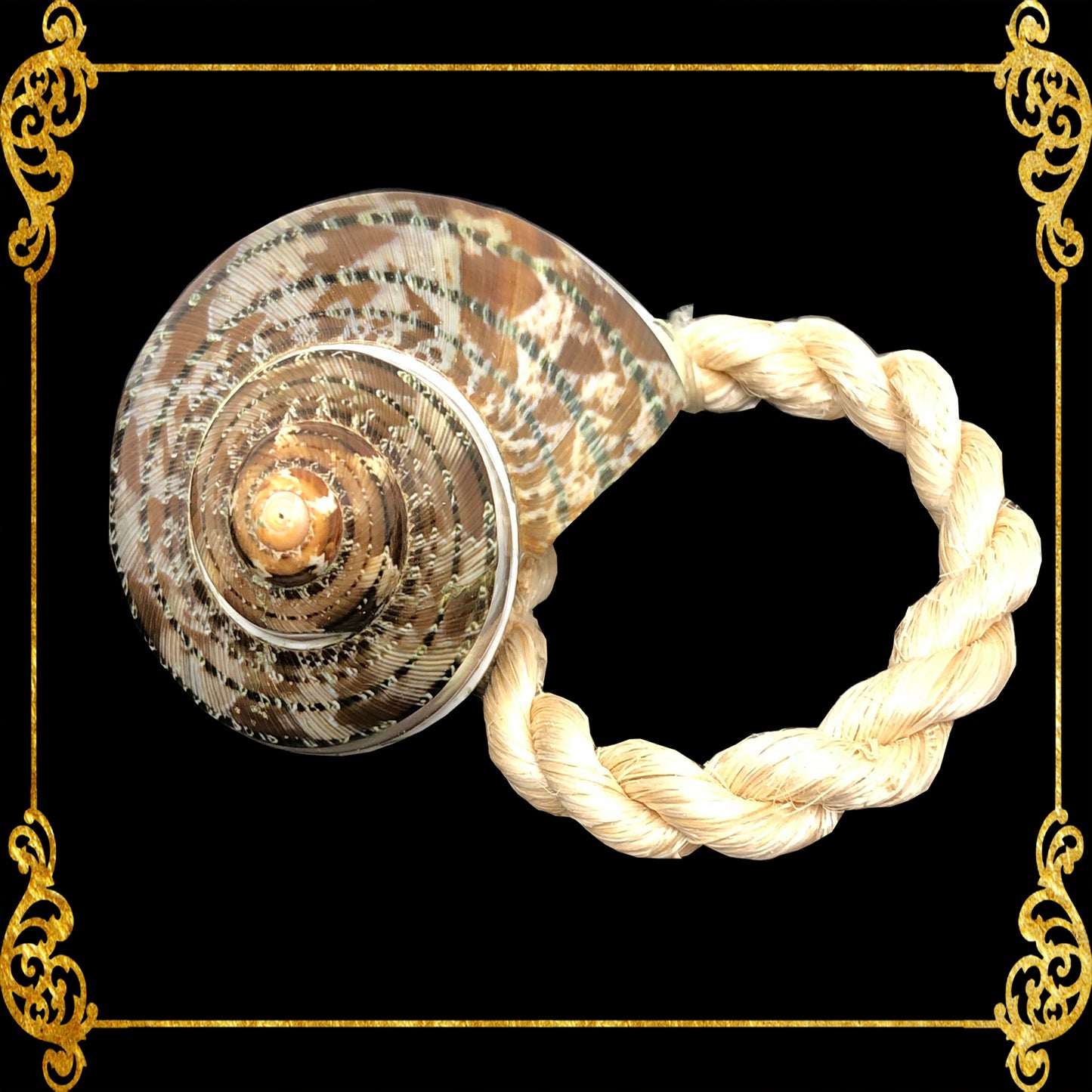 Napkin Ring - Turbo