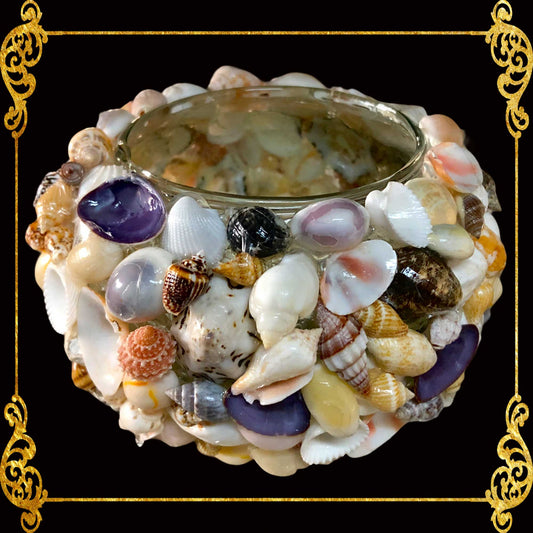 Tealight Glass Holder | Assorted Shells | Medium