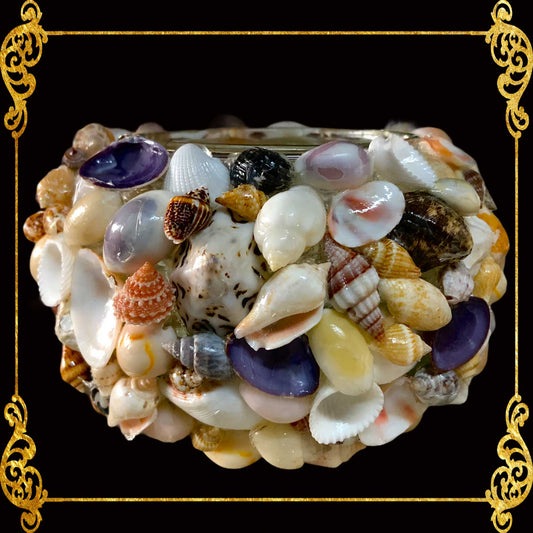 Tealight Glass Holder | Assorted Shells | Small