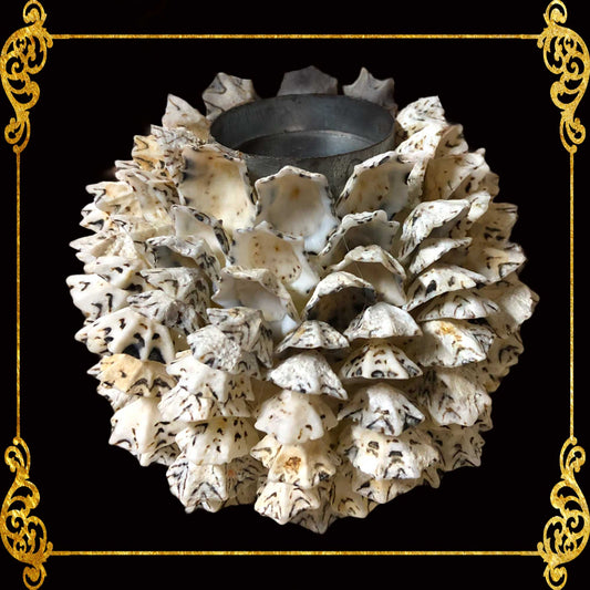 Tealight Glass Holder | Star limpet | Wreath