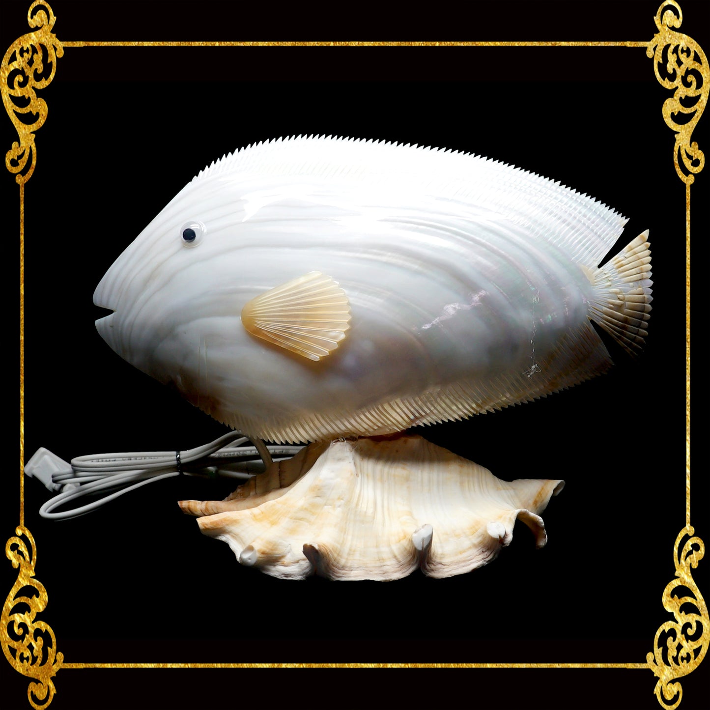 Seashell Lamps 1