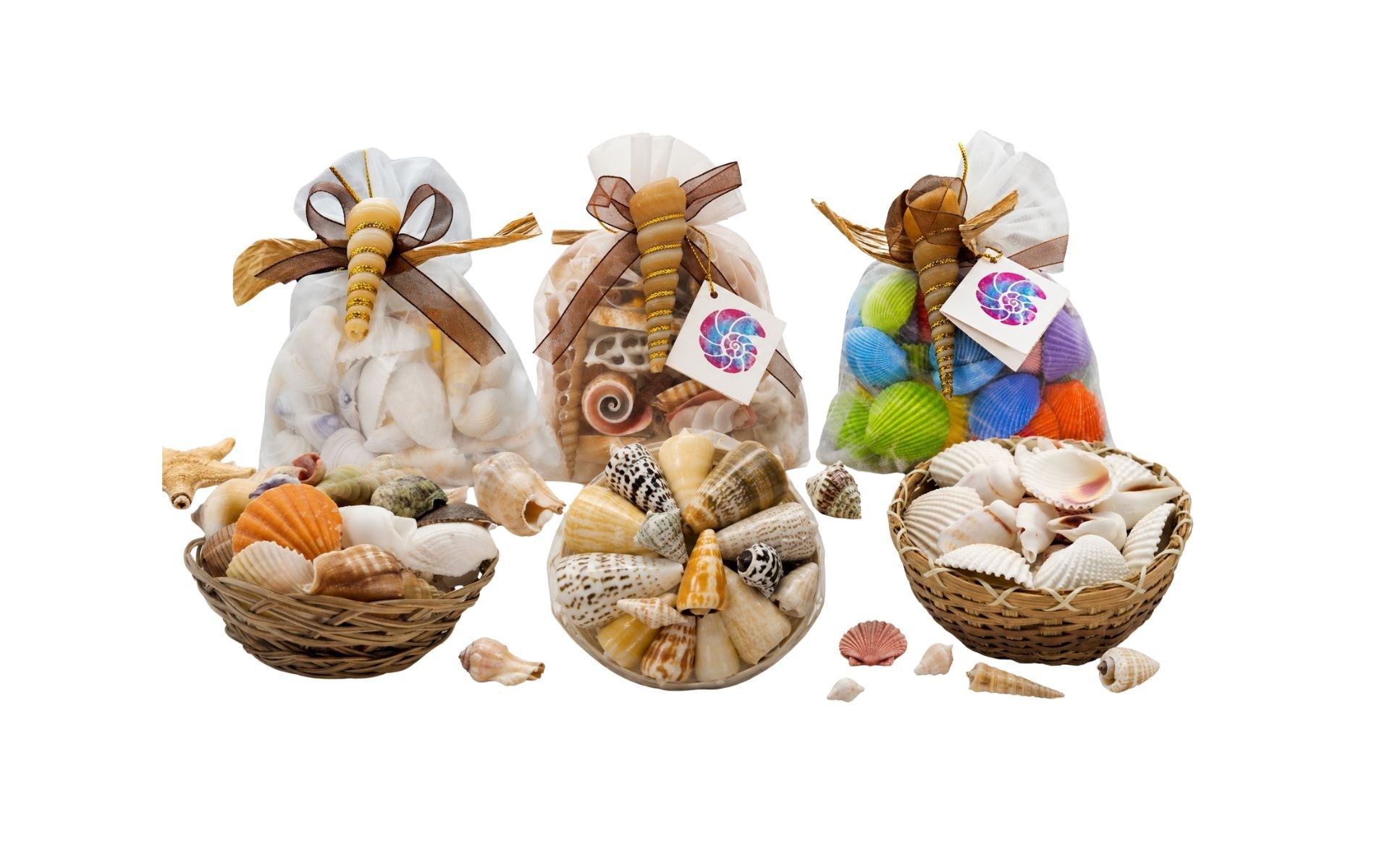 Shell Packs – Assorted Craft Shells | Wholesale from Philippines ...