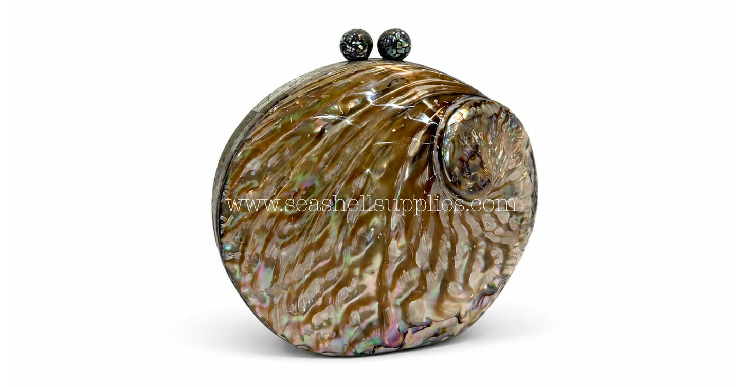 Convertible Round Abalone Shell Clutch Bag with Gold Chain