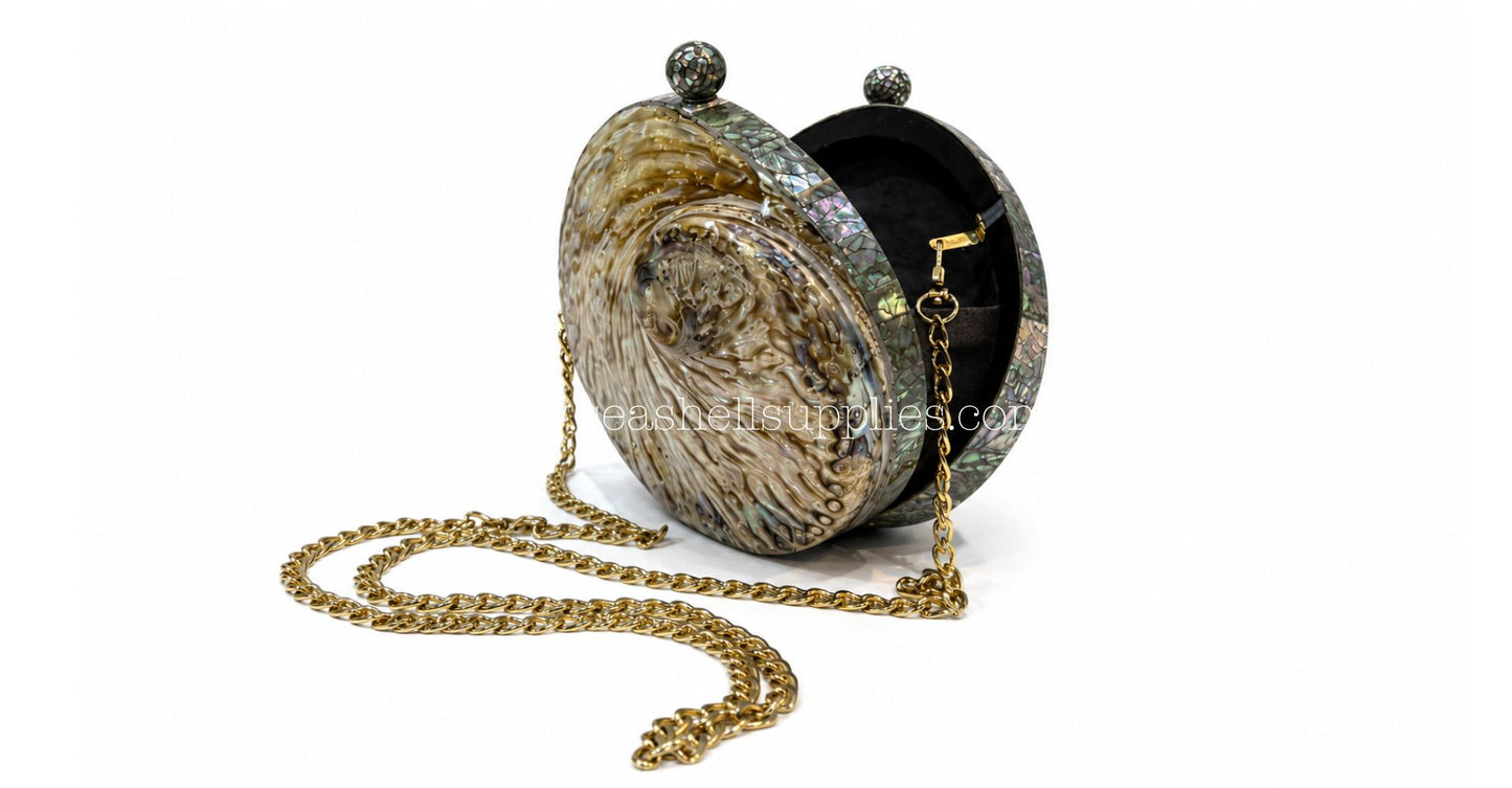 Convertible Round Abalone Shell Clutch Bag with Gold Chain