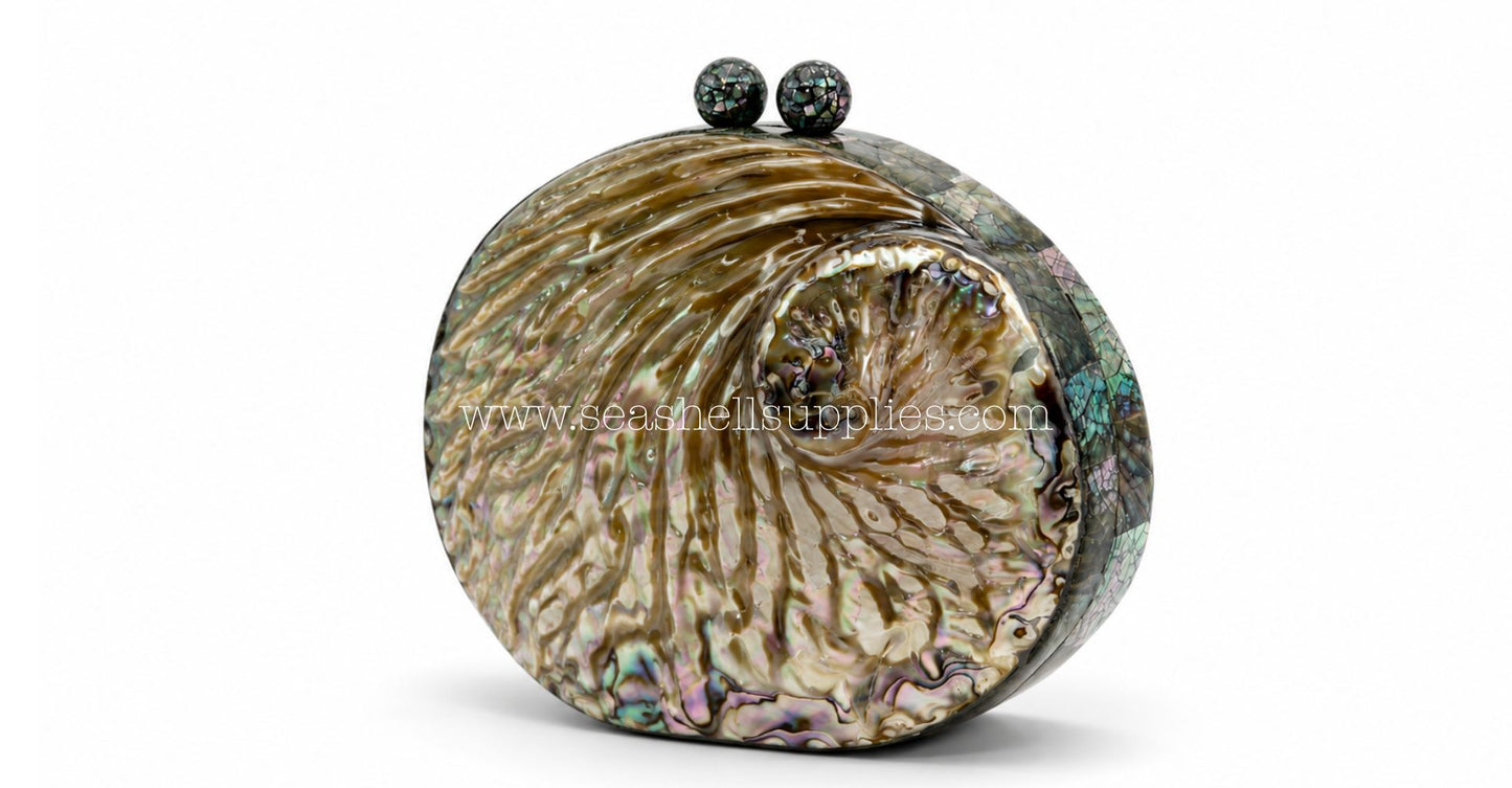 Convertible Round Abalone Shell Clutch Bag with Gold Chain