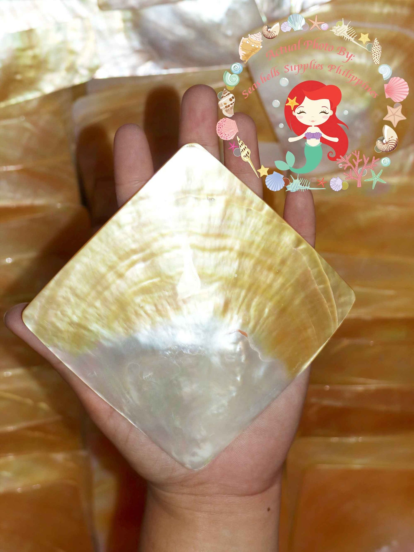 Mother Of Pearl | Square Shape