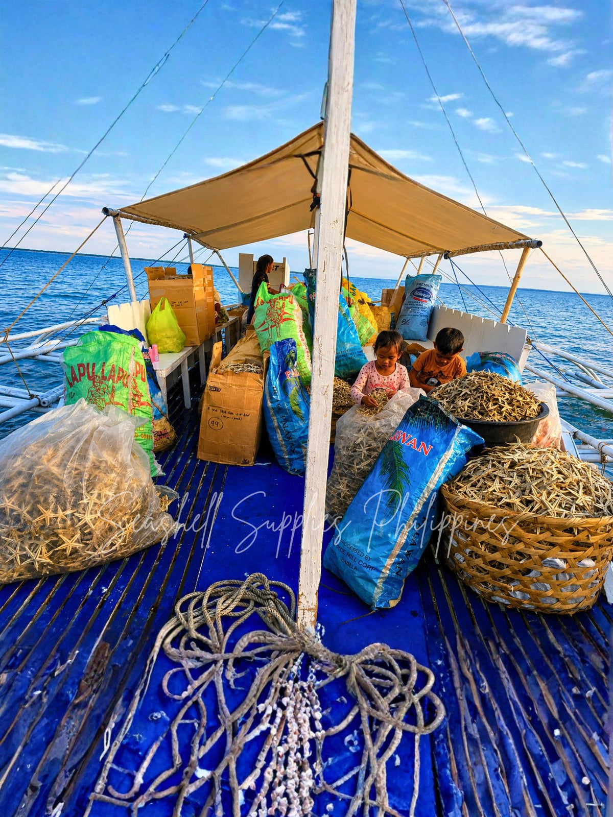 Layagan Shell About Us | Seashell Supplies Philippines – Sustainable Since 1974