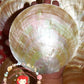 Mother Of Pearl | Plates