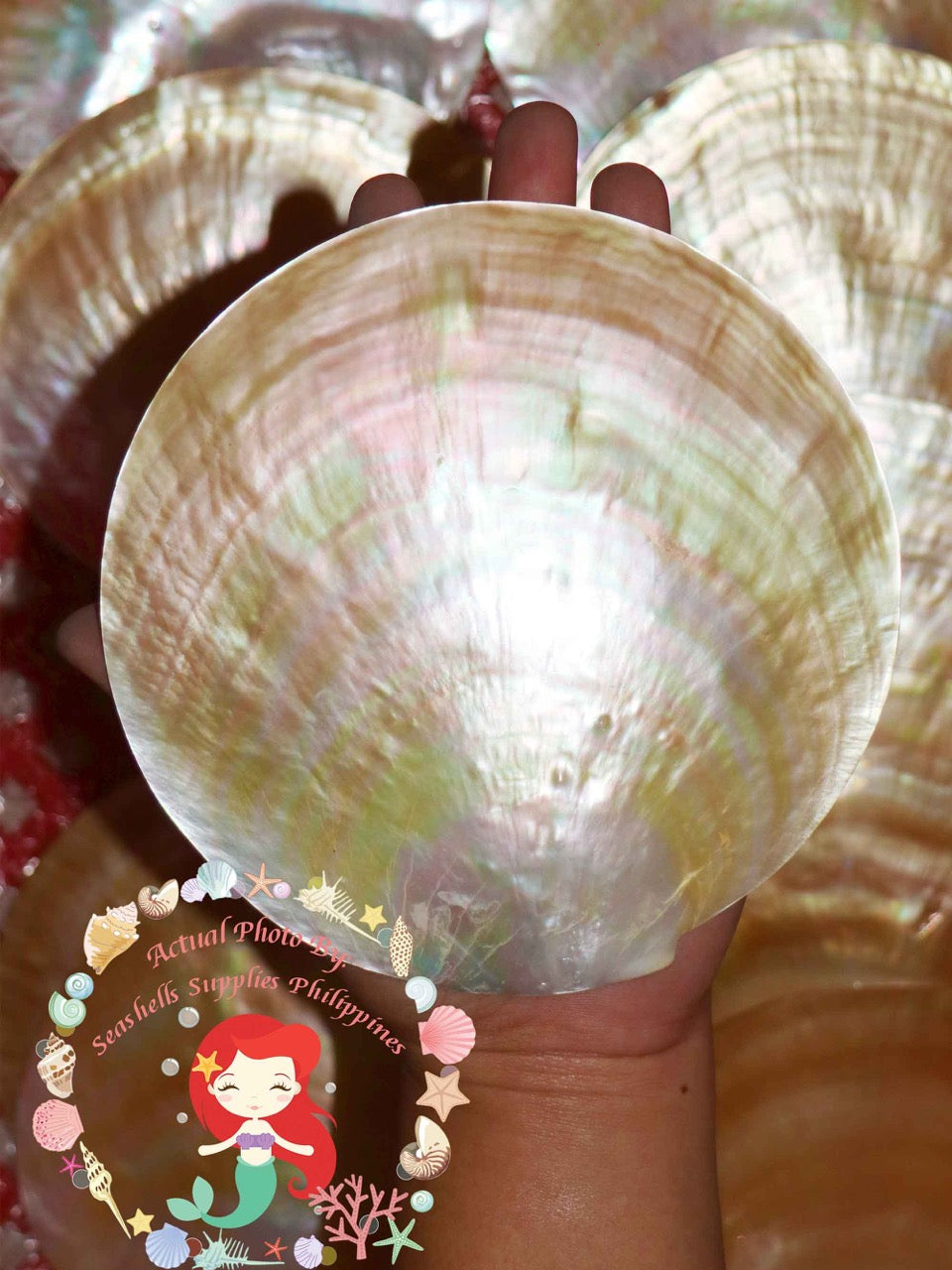 Mother Of Pearl | Plates