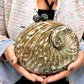 Convertible Round Abalone Shell Clutch Bag with Gold Chain