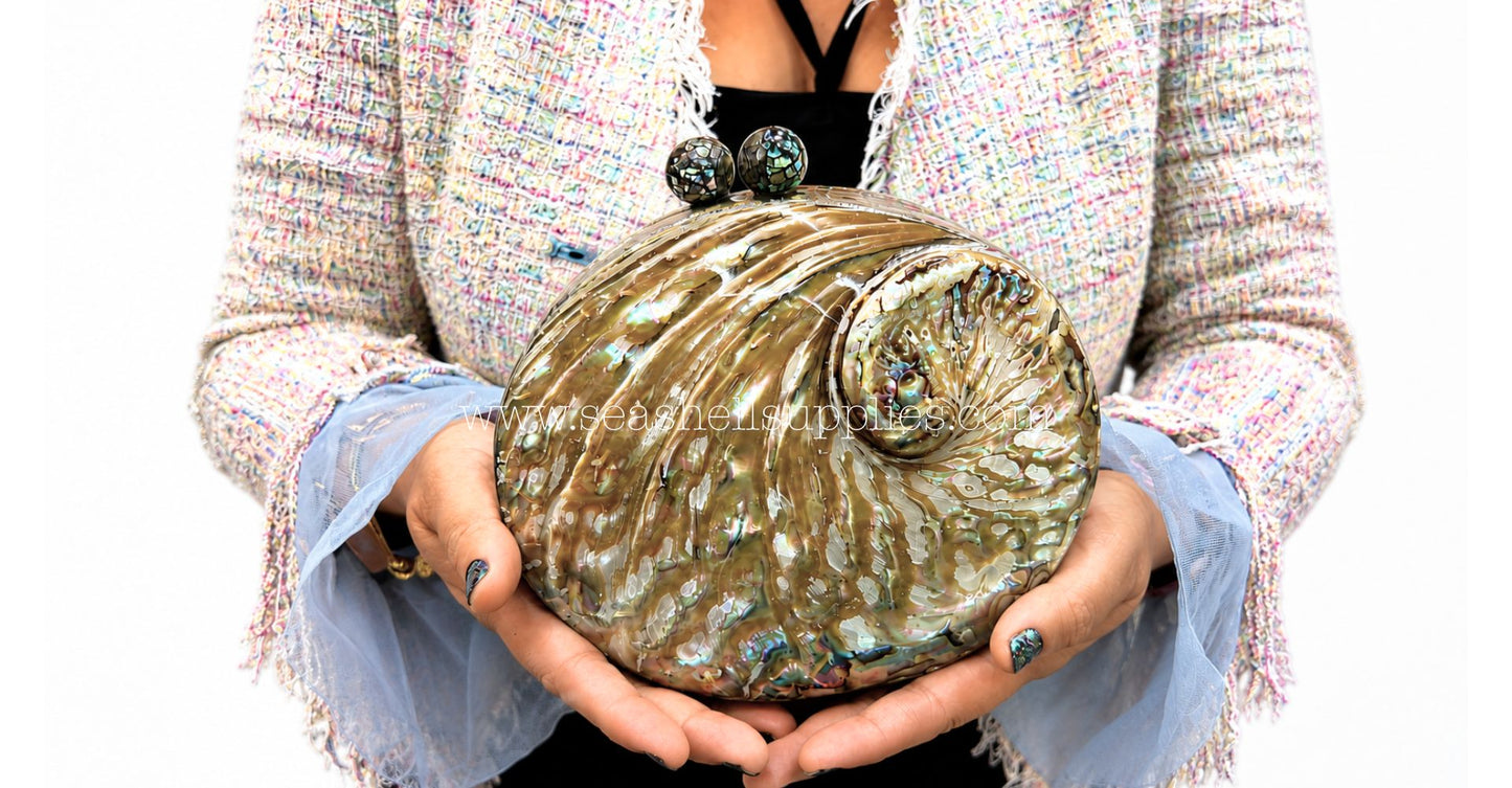 Convertible Round Abalone Shell Clutch Bag with Gold Chain