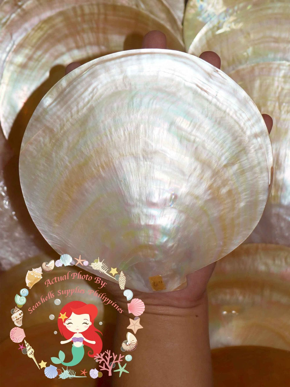 Mother Of Pearl | Plates