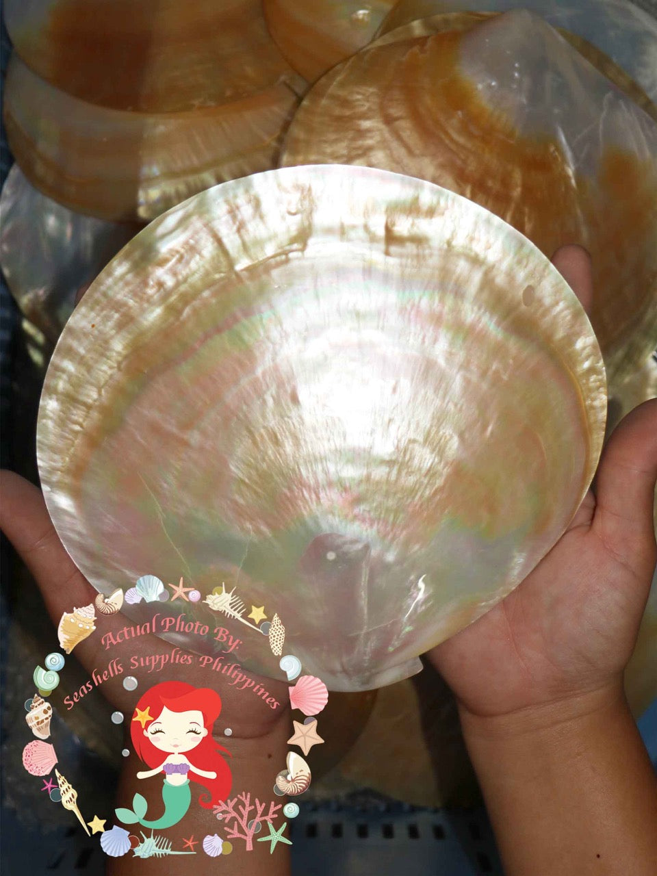Mother Of Pearl | Plates