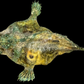 Broadhead Goosefish (Lophiomus setigerus) | Preserved Fish Specimen | Real Anglerfish