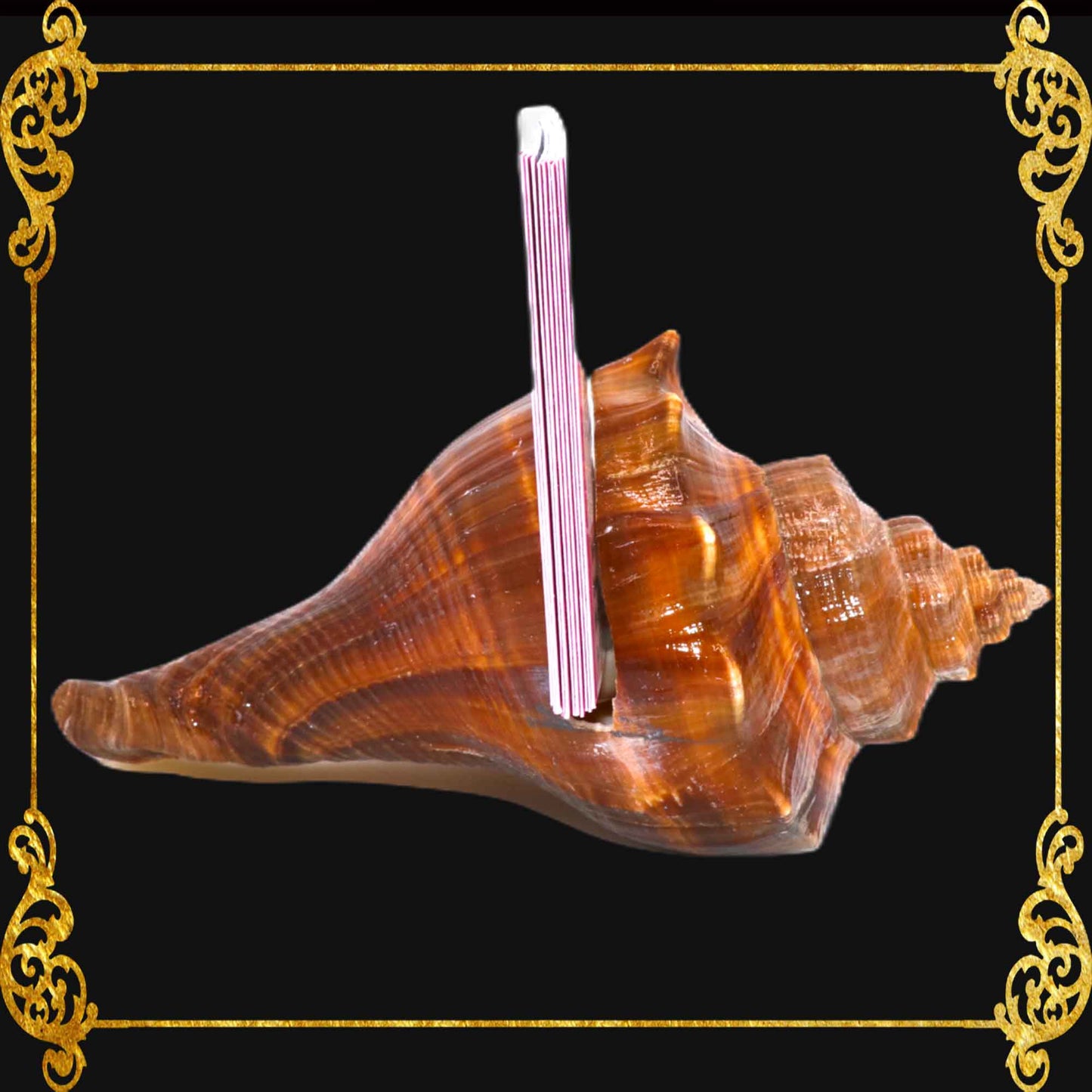 Photo Holder