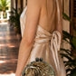 Convertible Round Abalone Shell Clutch Bag with Gold Chain