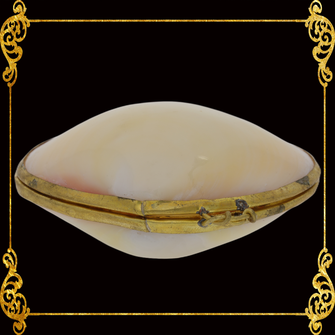 Coin Purse | Pill Box | Jewelry Holder | Made of Real Seashells