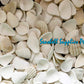 Cut Seashells | Batotoy Petals | Granular Ark