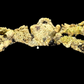 Decorator Spider Crab (Camposcia cf. retusa) | Preserved Crab Specimen | Real Camouflage Crab