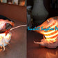Desk Lamp | Made of Real Seashells | Pteria Penguin Fish Lamp