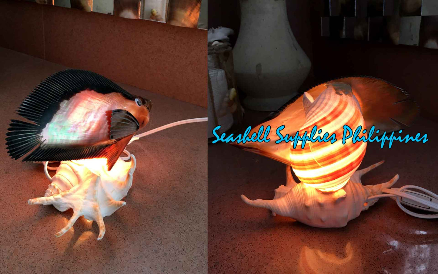 Desk Lamp | Made of Real Seashells | Pteria Penguin Fish Lamp
