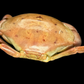 Freshwater Crab (Potamidae sp. cf. Indochinamon) | Preserved Crab Specimen | Real River Crab