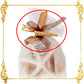 10 Pcs- Bottle Souvenir-Hang Tag Ornament - Turritella Shell