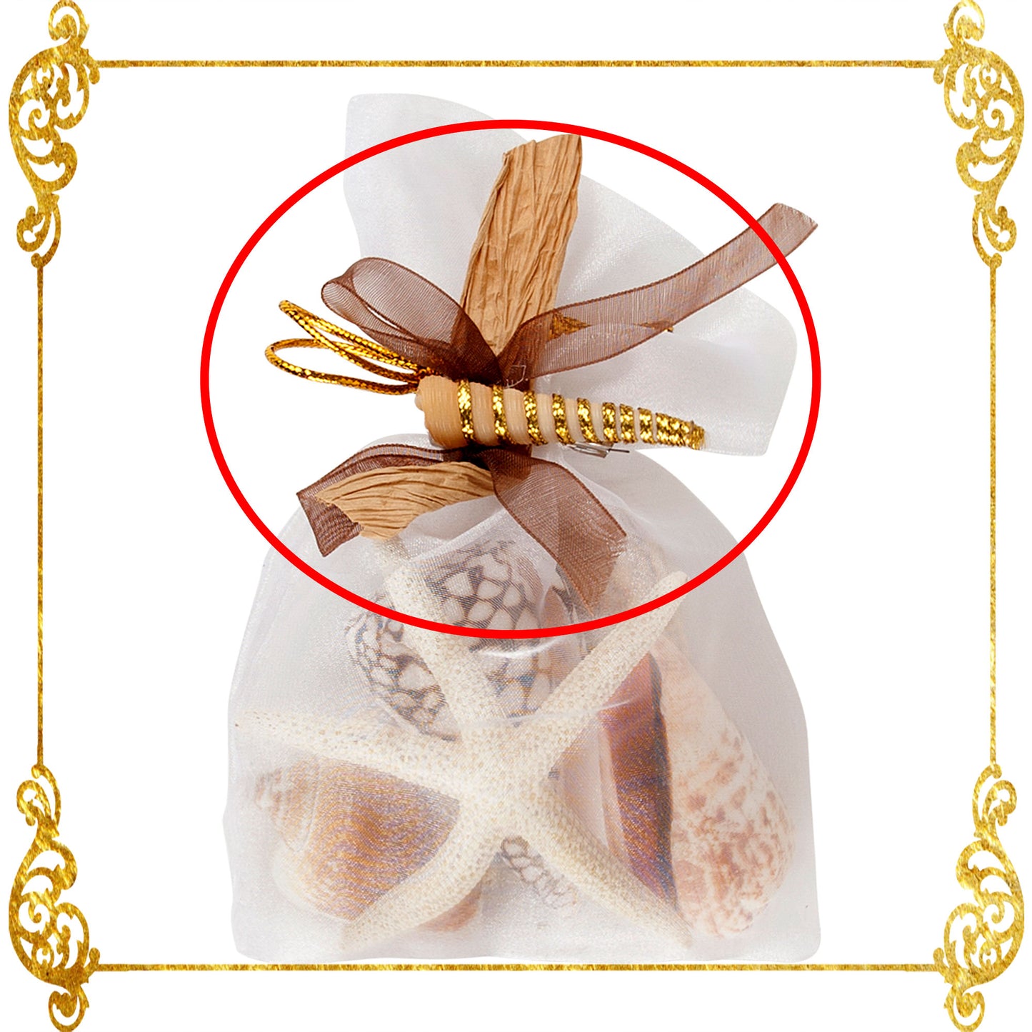 10 Pcs- Bottle Souvenir-Hang Tag Ornament - Turritella Shell