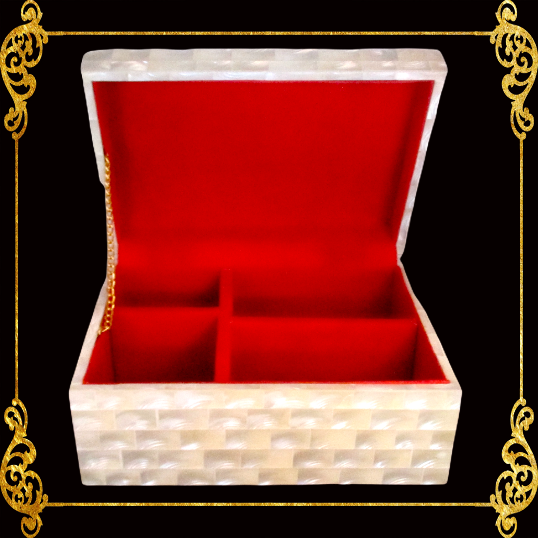 Jewelry Box | Troca Shell | Curve Top | Xlarge