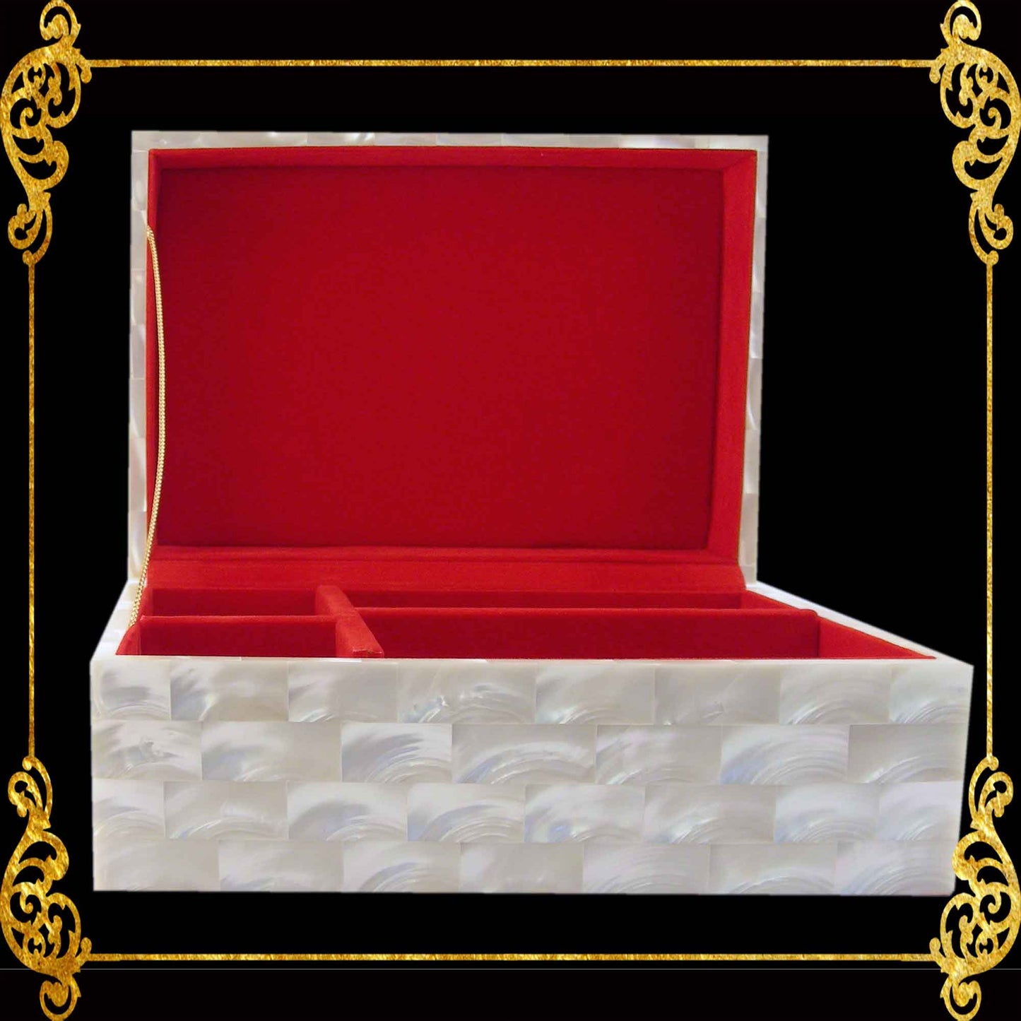 Jewelry Box | Troca Shell | Curve Top | Xlarge