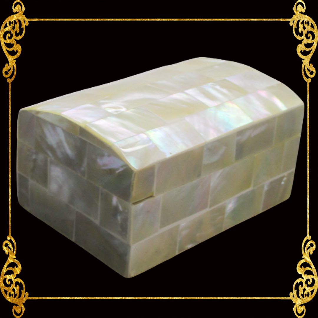 Jewelry Box | White Shell | Curve Top | Xs