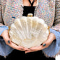 White Mother of Pearl Clam Shell Clutch Bag with Gold Chain