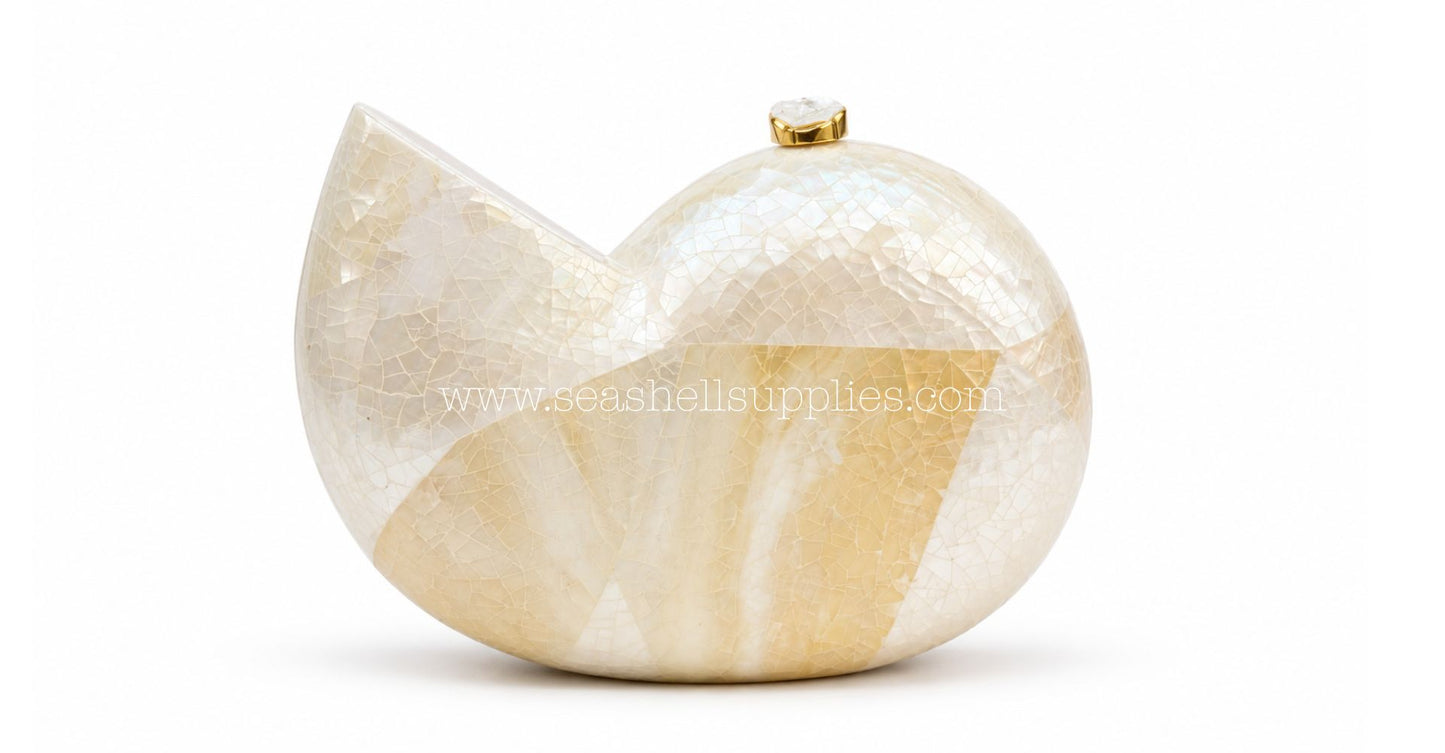White Mother of Pearl Nautilus Shell Clutch Bag with Gold Chain