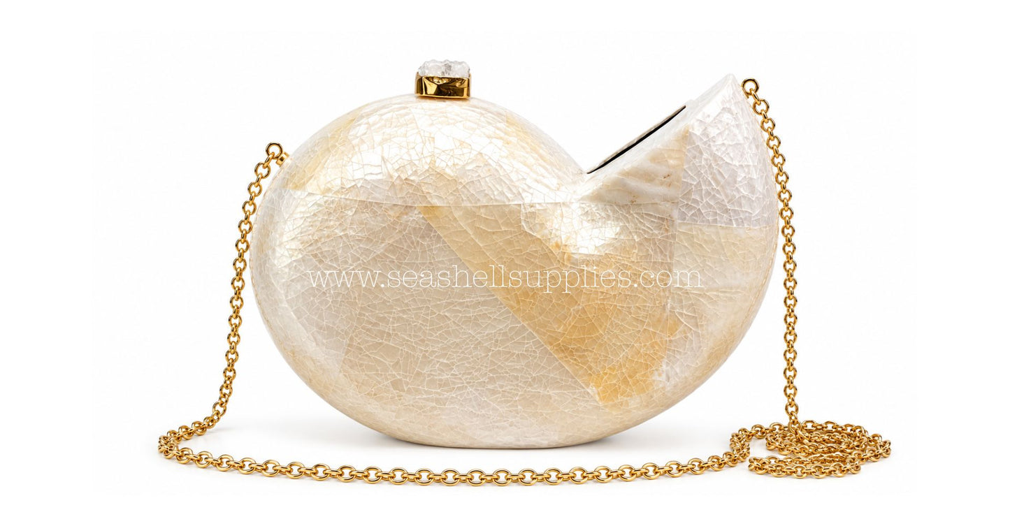White Mother of Pearl Nautilus Shell Clutch Bag with Gold Chain