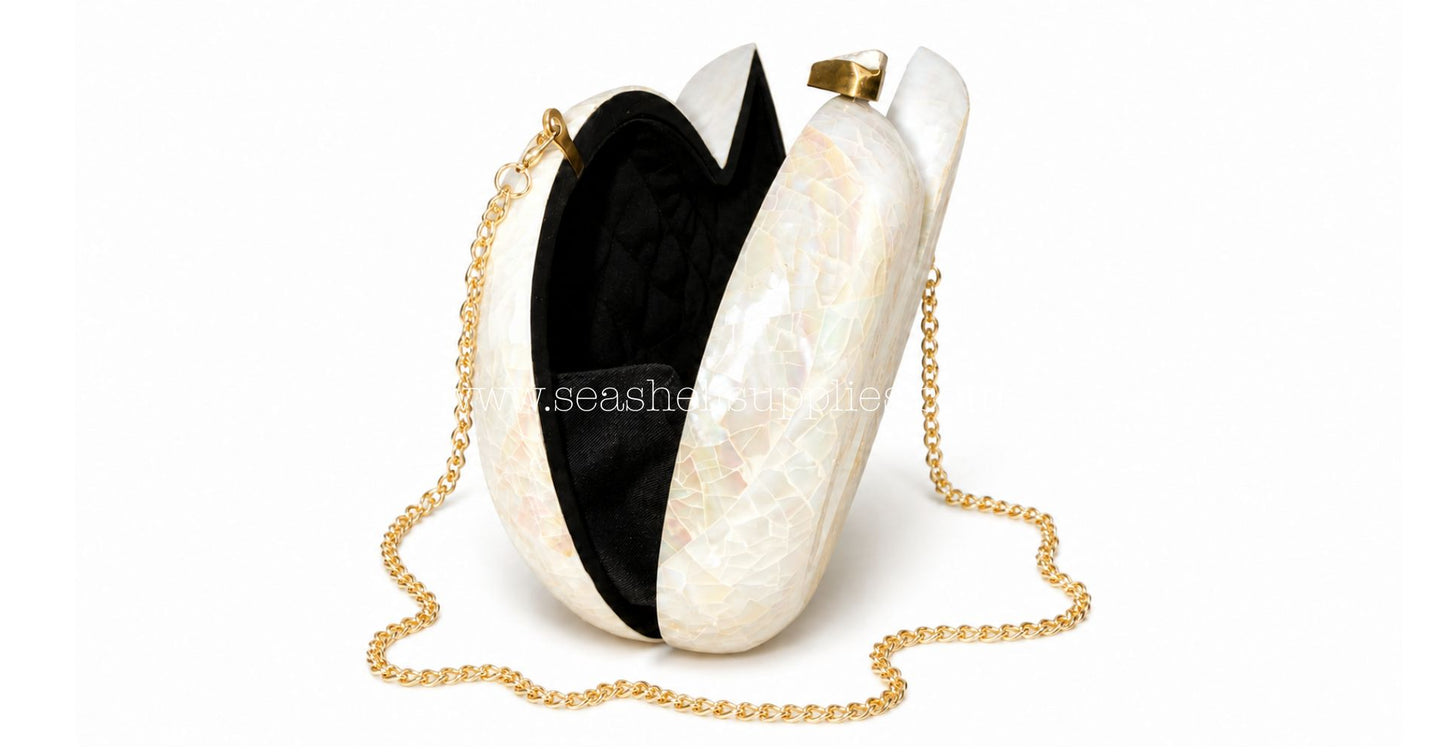 White Mother of Pearl Nautilus Shell Clutch Bag with Gold Chain