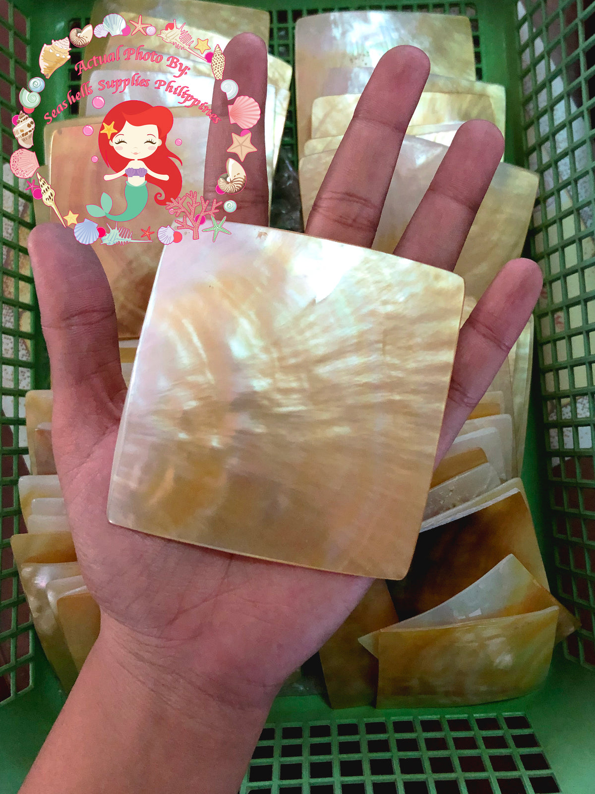 Mother Of Pearl | Square Shape