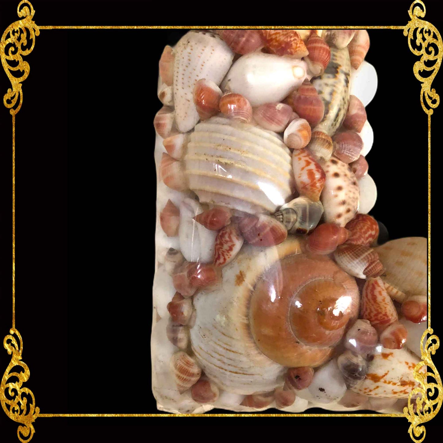 Seashell Mirror Frame | Assorted Broqn and White Shell