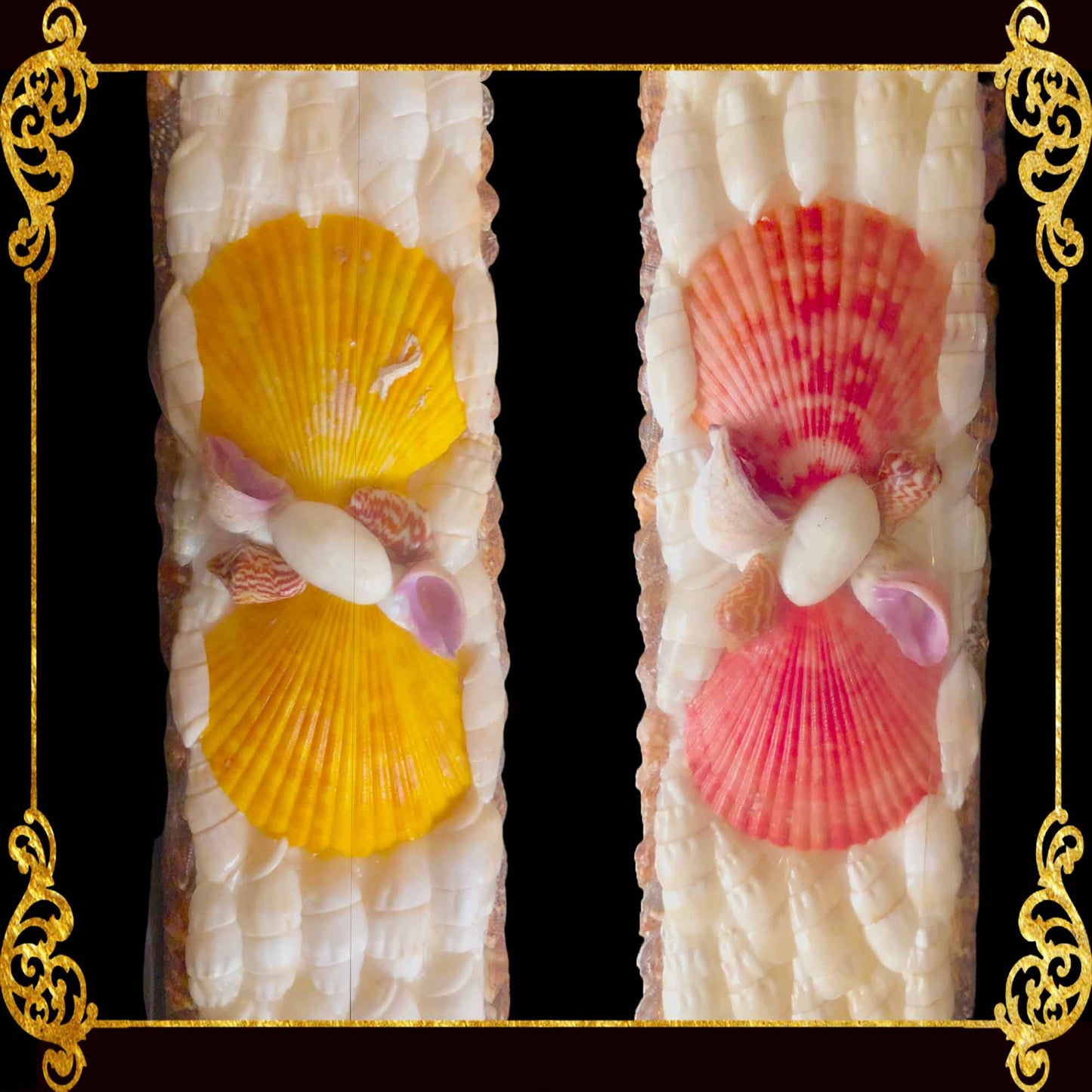 Seashell Mirror Frame | Assorted White Shells with Pecten Nobilis Accent