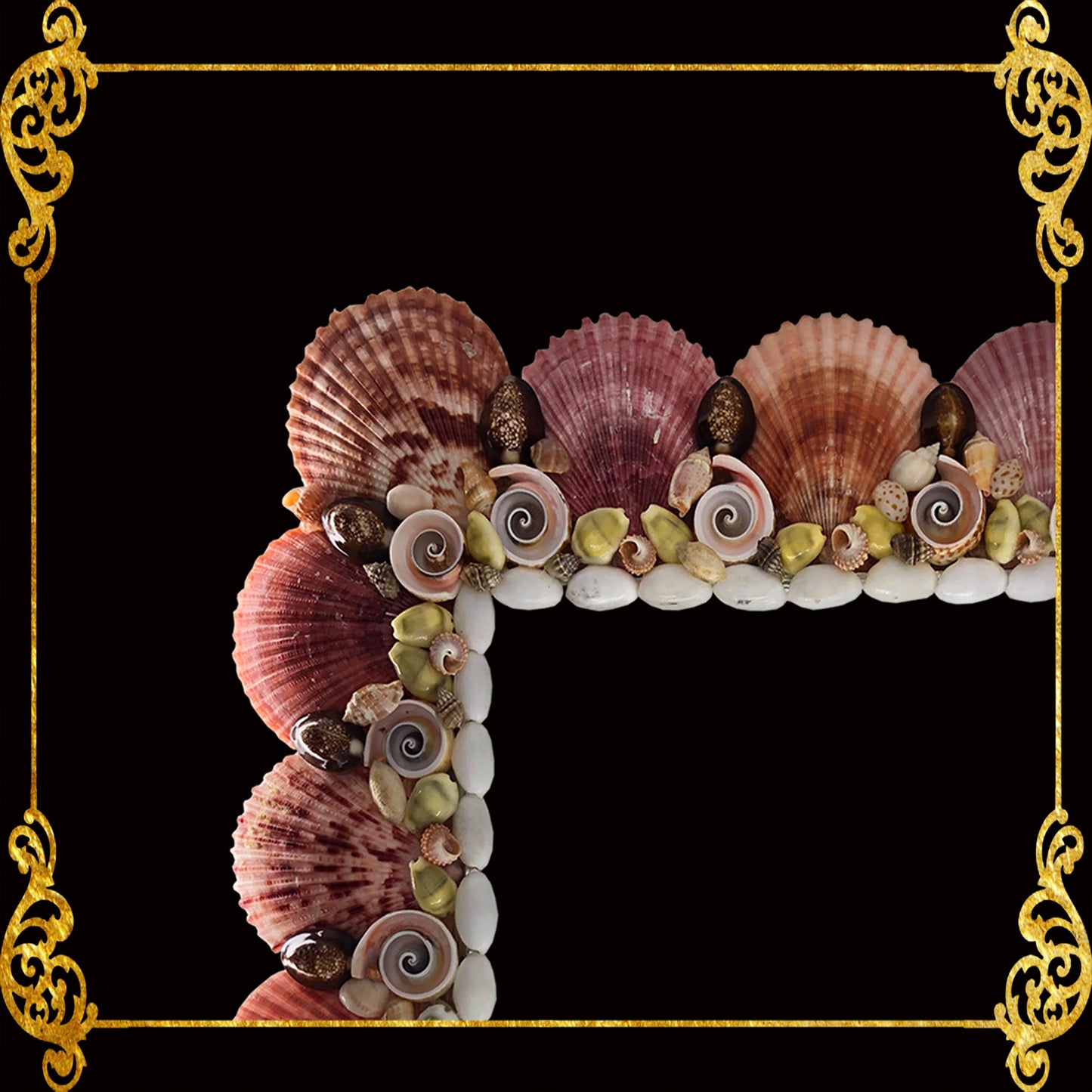 Seashell Mirror Frame | Colored Pecten with Assorted Shells