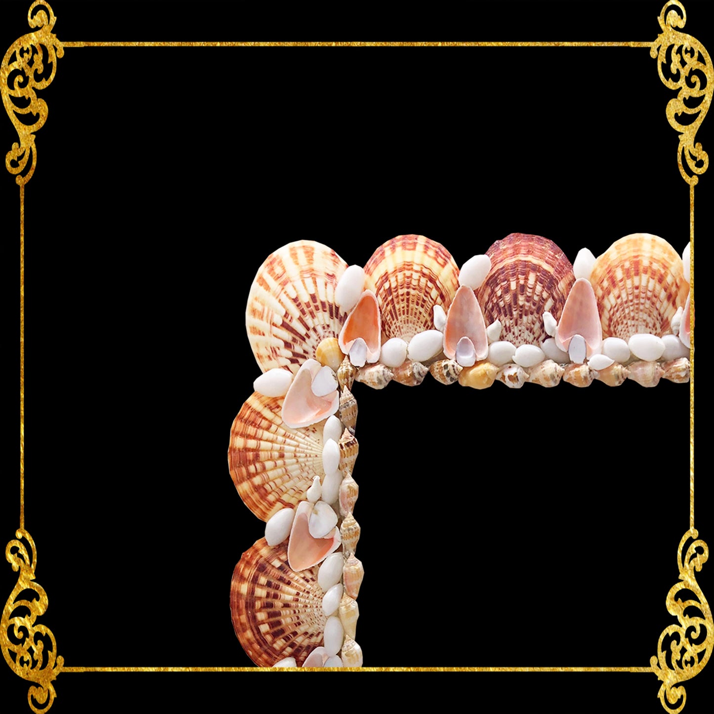 Seashell Mirror Frame | Macarense w/ Assorted Shells