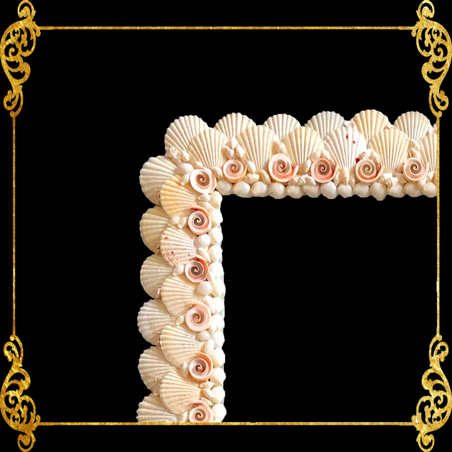 Seashell Mirror Frame | Assorted White Shells and Redlips Cut