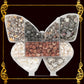 Seashell Bead Set in Butterfly Shape Plastic Organizer