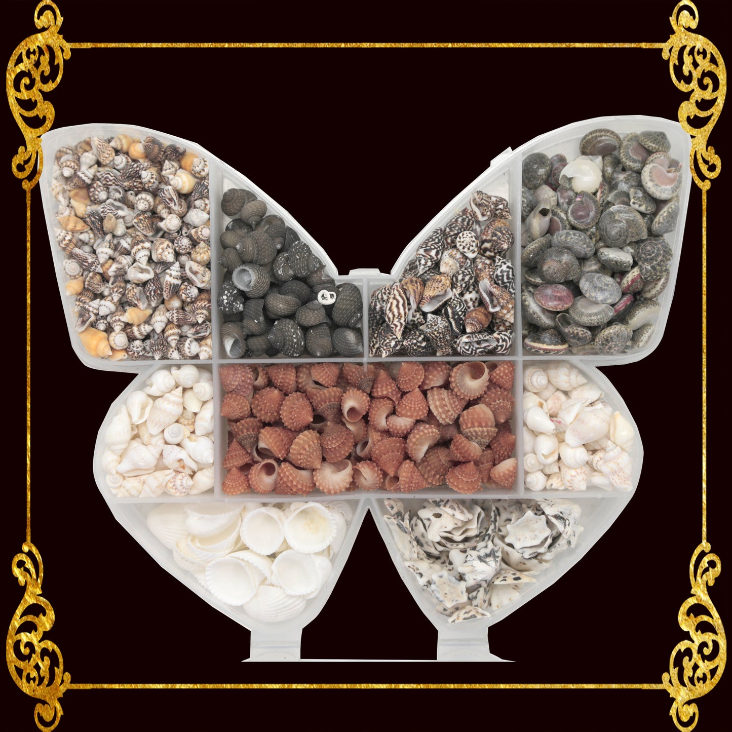 Seashell Bead Set in Butterfly Shape Plastic Organizer